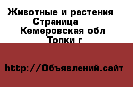  Животные и растения - Страница 15 . Кемеровская обл.,Топки г.